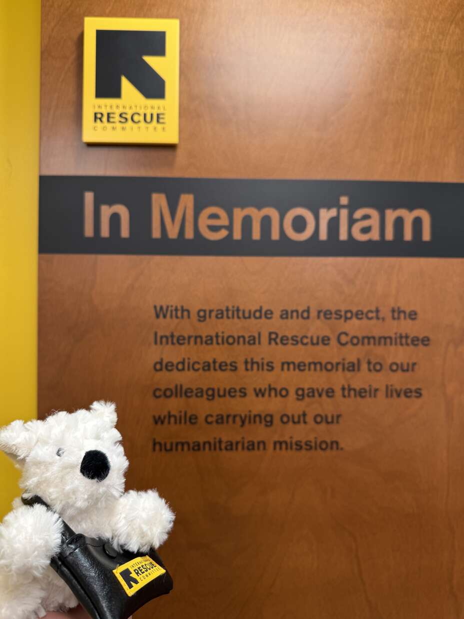 구조댕 인형이 인도주의 활동 중 사망한 동료들을 기리는 추모의 벽 앞에서 서있습니다.